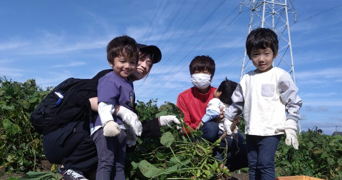 くろえだまめ販売してます！ | お知らせ | 道の駅おおき｜福岡県三潴郡